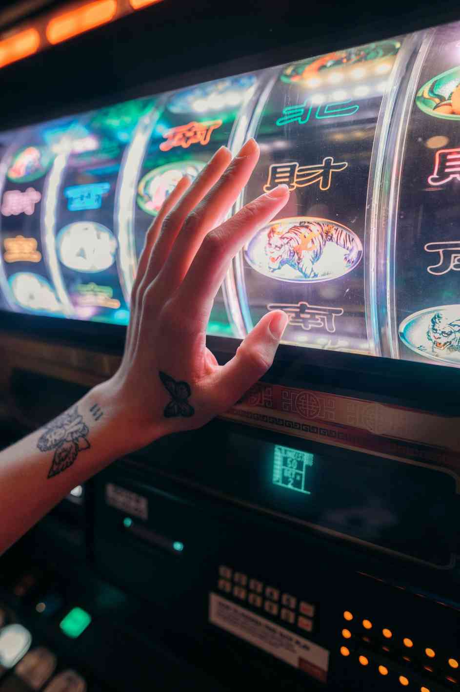 Robocat Casino: Análisis Detallado y Opiniones 2024